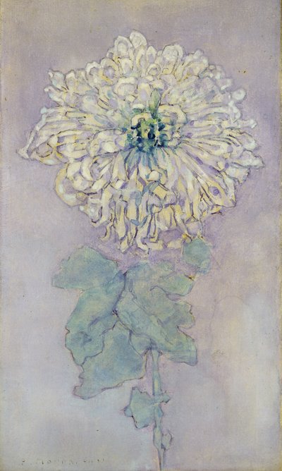 Chrysanthemum by Piet Mondrian